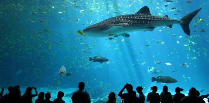destination-sea-life-ocean-world