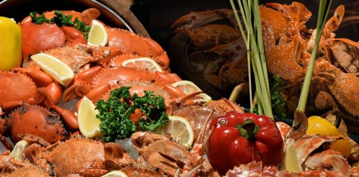 crab-black-bg-2