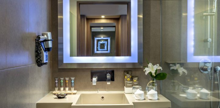 executive-room-bathroom-2